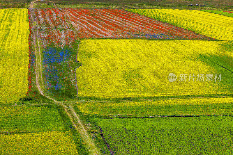 Piano Grande di Castelluccio(意大利)，绿色山丘上的村庄